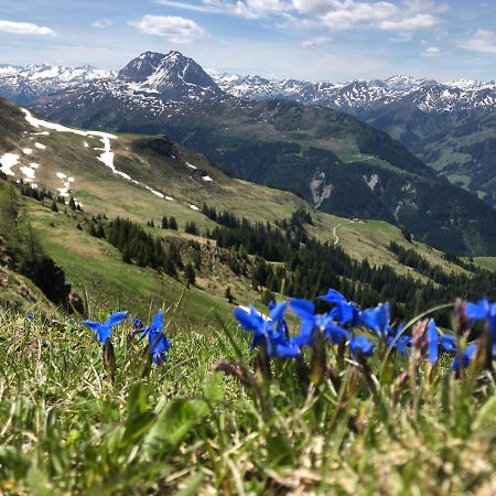 Sonnenschein Appartement Rebecca Kirchberg in Tirol Eksteriør bilde