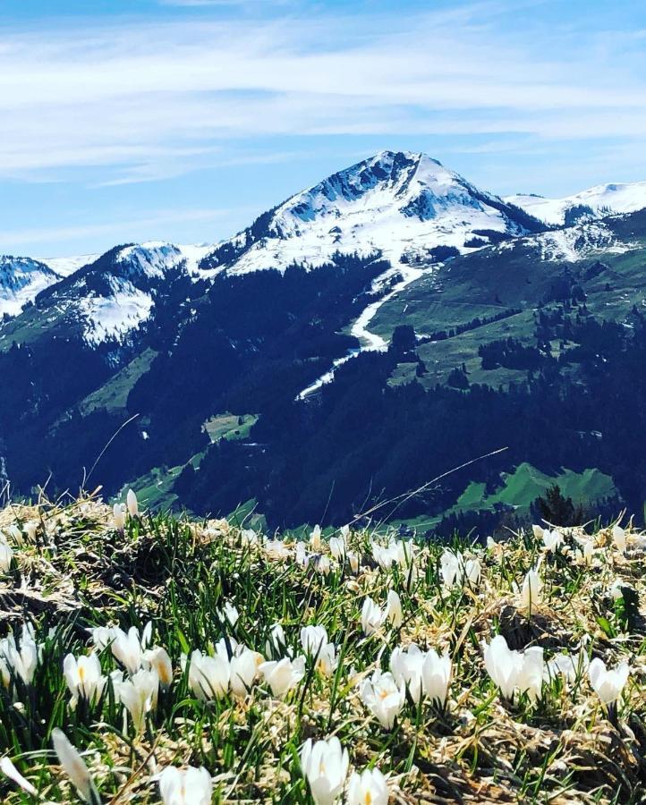 Sonnenschein Appartement Rebecca Kirchberg in Tirol Eksteriør bilde