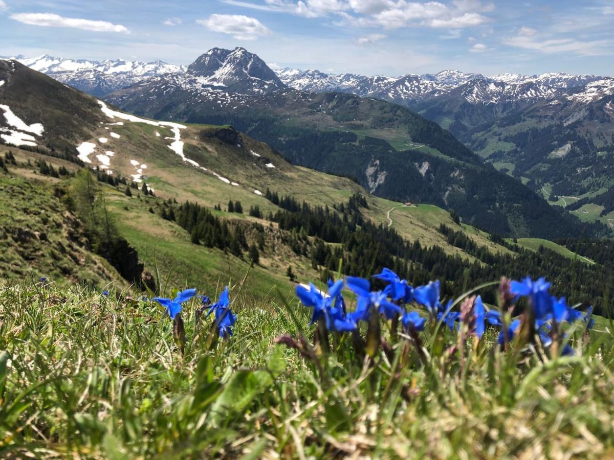Sonnenschein Appartement Rebecca Kirchberg in Tirol Eksteriør bilde