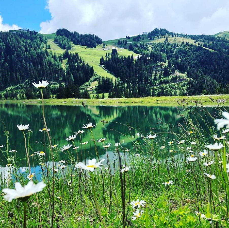 Sonnenschein Appartement Rebecca Kirchberg in Tirol Eksteriør bilde